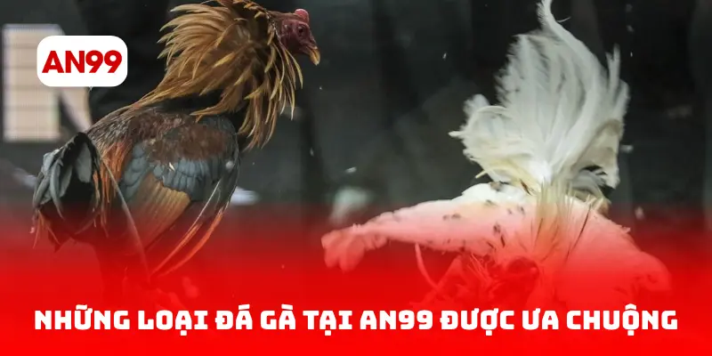 Những Loại Đá Gà tại AN99 Được Ưa Chuộng