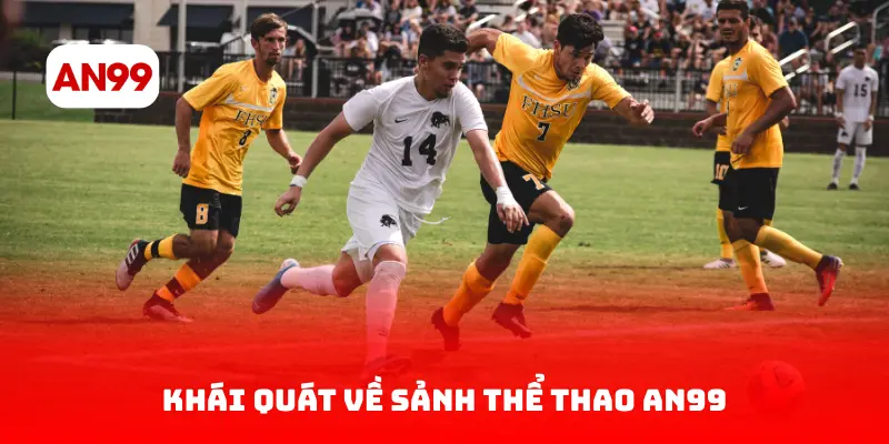 Khái Quát Về Sảnh Thể Thao AN99