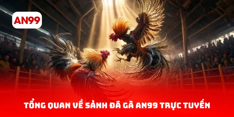 Tổng Quan Về Sảnh Đá Gà AN99 Trực Tuyến